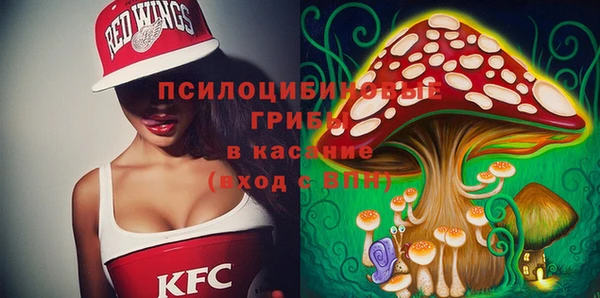 спиды Карталы