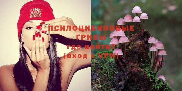 спиды Карталы