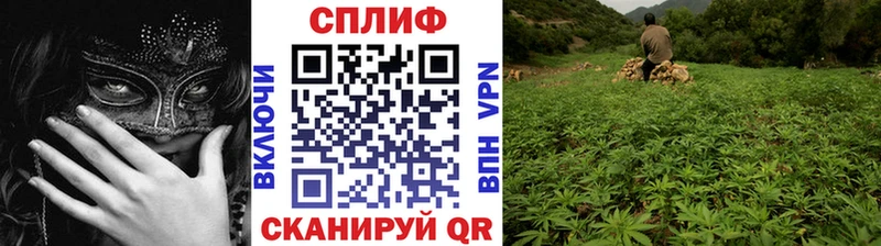Бошки Шишки THC 21%  Купить  Ростов 
